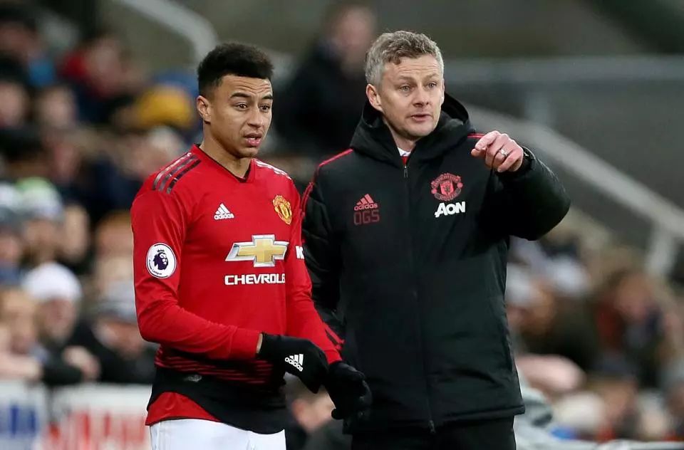 或许能在未 或许能在未