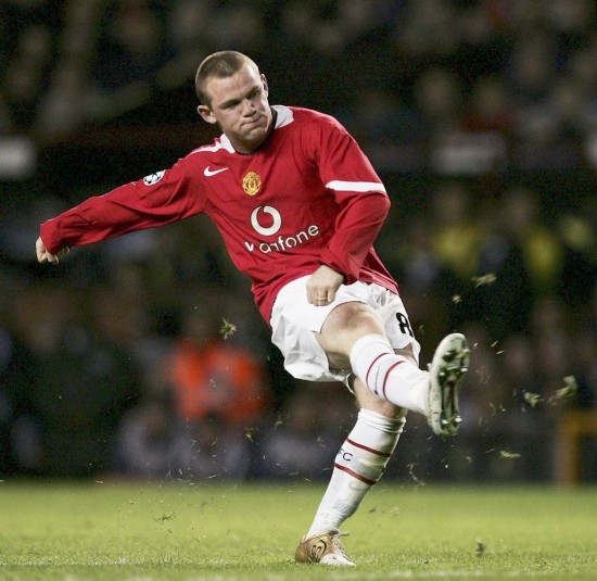 家庭的典范 家庭的典范